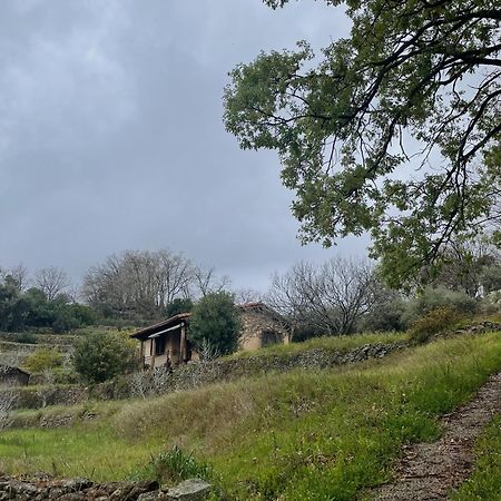 Vergel San Pedro Torremenga Bagian luar foto